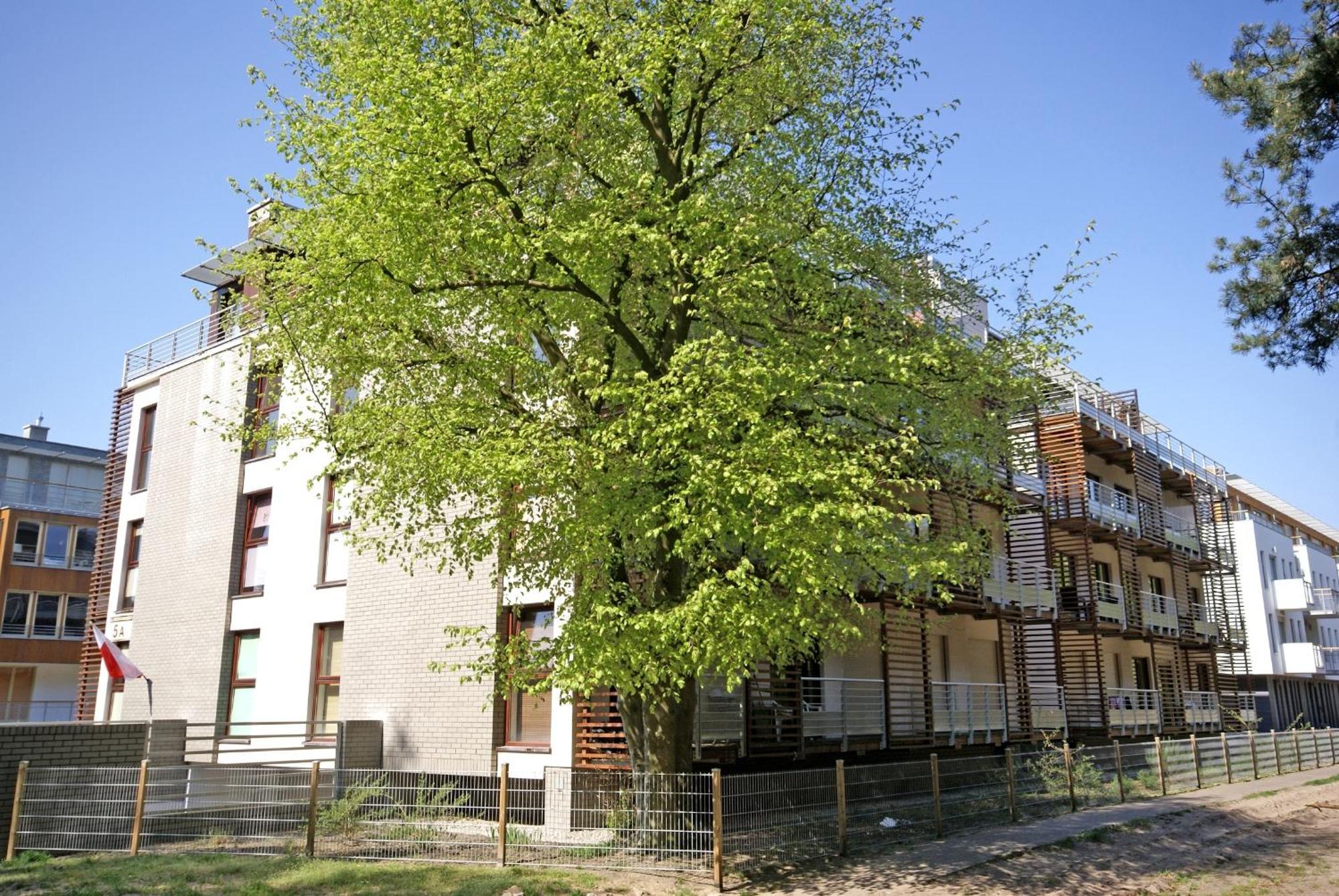 Apartamenty Swinoujscie - Zacisze Lesne Kültér fotó